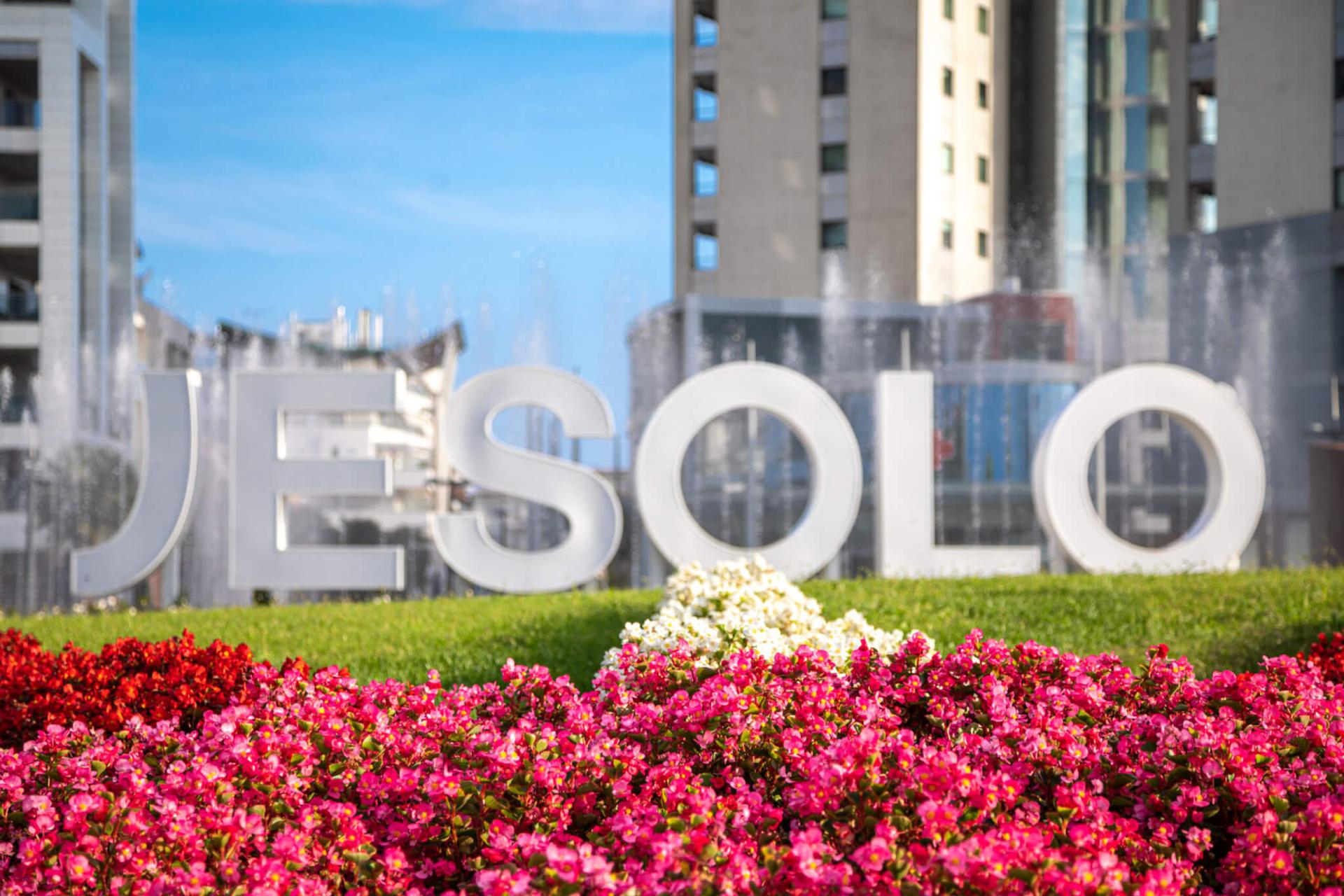 La flotta dei nostri pulmini